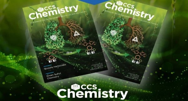 CCS Chemistry 2025年第7期主编寄语：化学之美